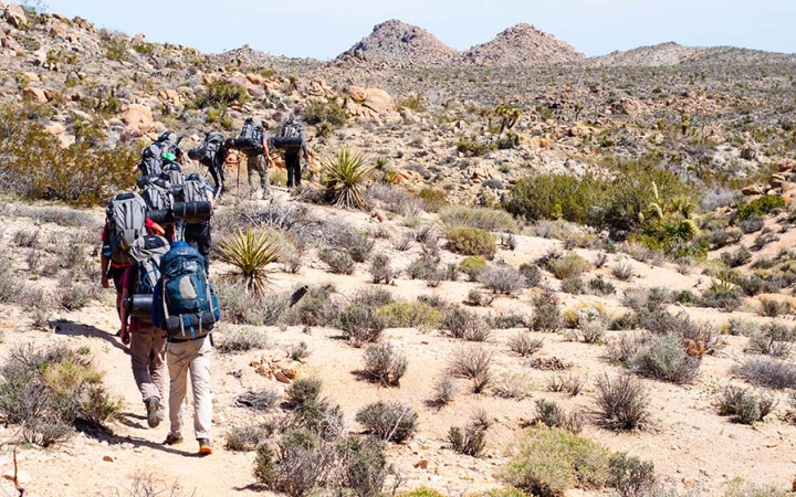 A group of people wearing backpacks hike through the desert landscape of Joshua Tree National Park. There are mountains in the distance. 